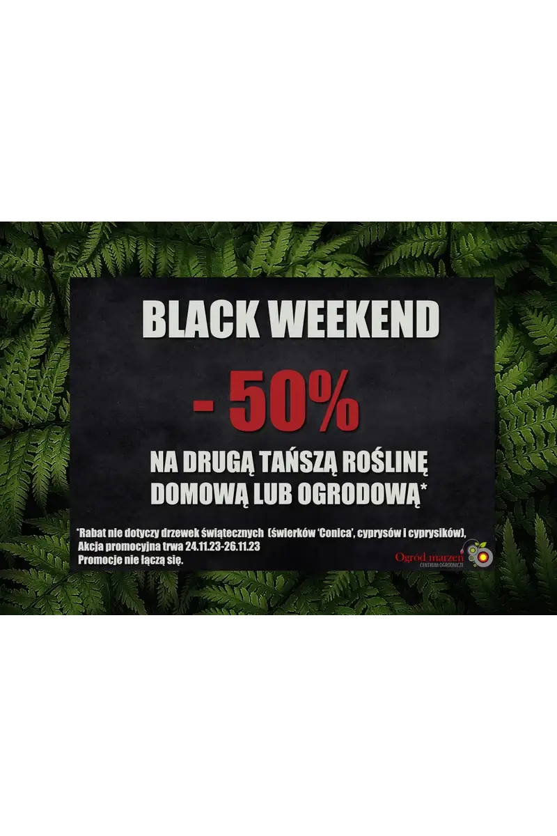 black weekend opis promocji