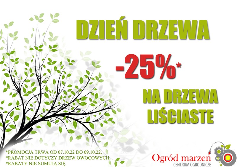 dzień drzewa