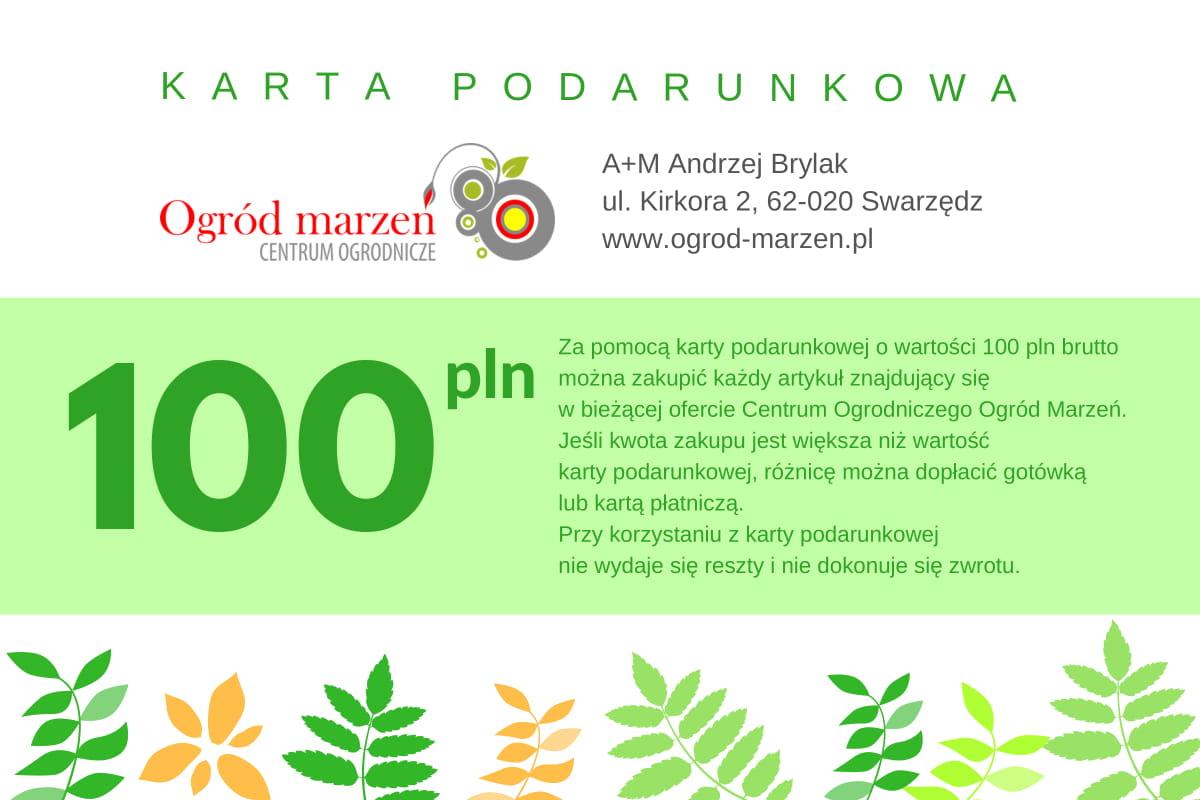 karta podarunkowa 100pln