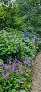 arboretum-wojslawice-2-07