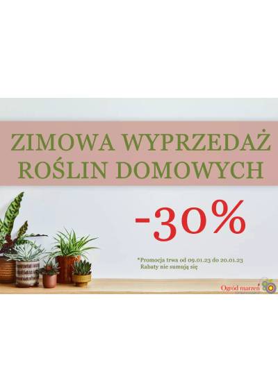 baner zimowa wyprzedaż roślin domowych